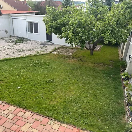 Apple Garden